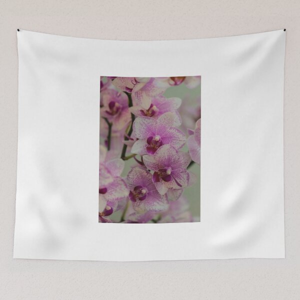 Item preview, Orchid Pirate Picotee  designed and sold by Alius Imago.