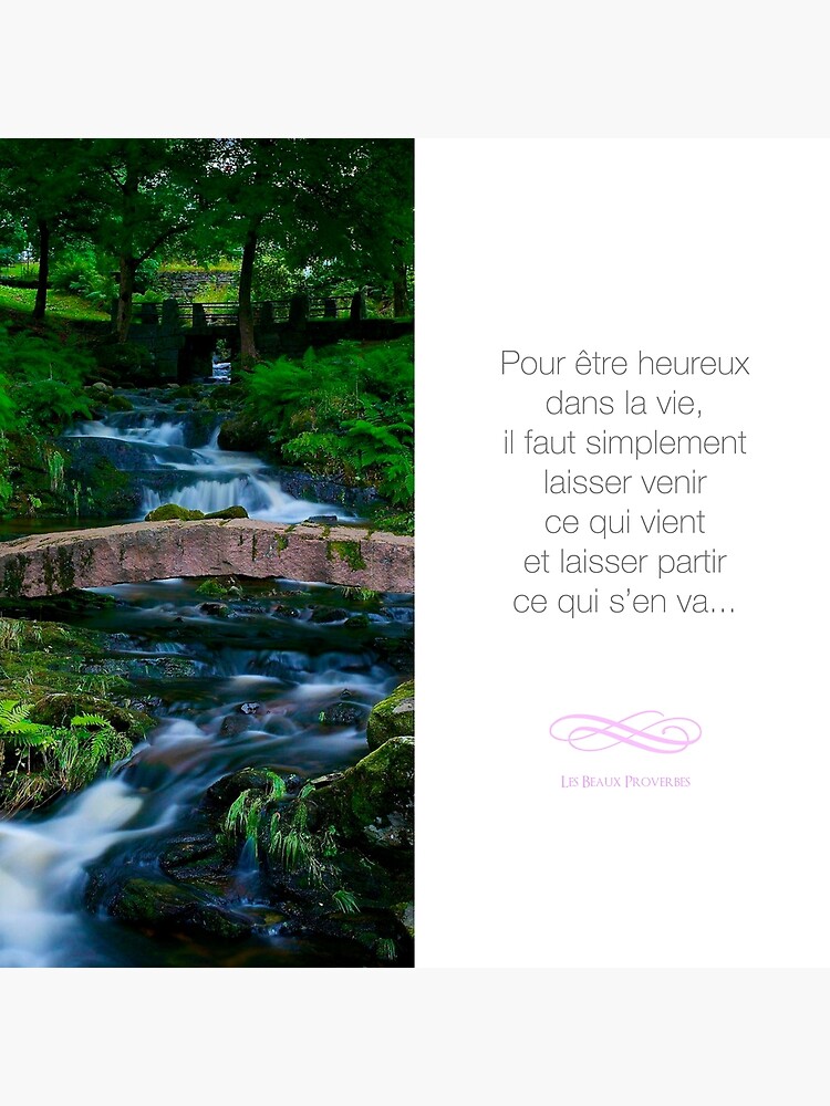 Carte De Vœux Laisser Venir Ce Qui Vient Citation Sur L Amitie Par Beauxproverbes Redbubble