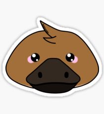 Platypus - Australian animal design Sticker