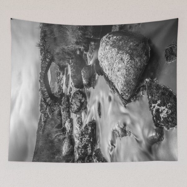 Item preview, Roman Bridge (B&W) (Landscape) designed and sold by LluniauDafyddEm.