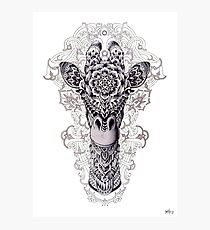 Giraffe Photographic Print