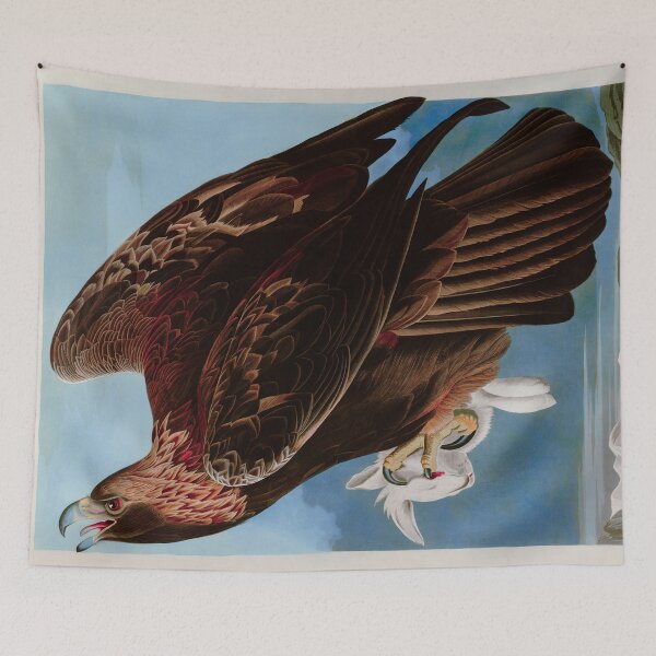 Item preview, Birds of America Audubon Goldon Eagle Illustration Bird Lovers Gift designed and sold by VintageArchive.