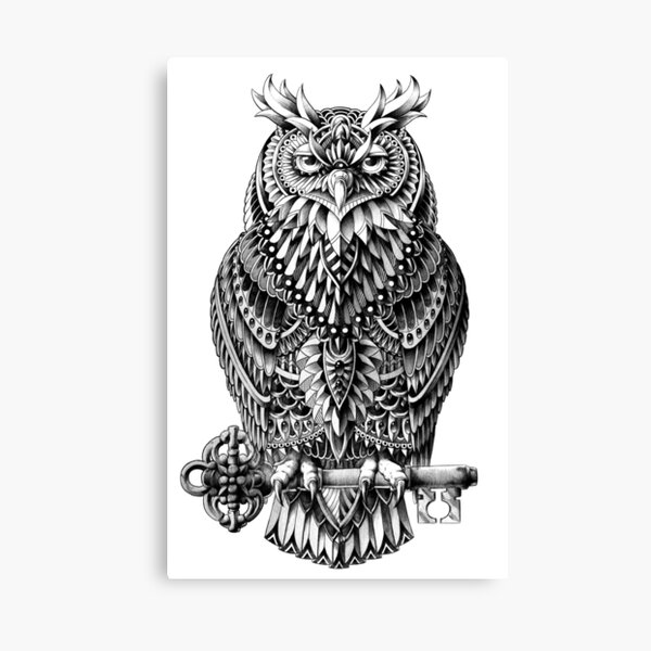 Owl Canvas Prints Redbubble