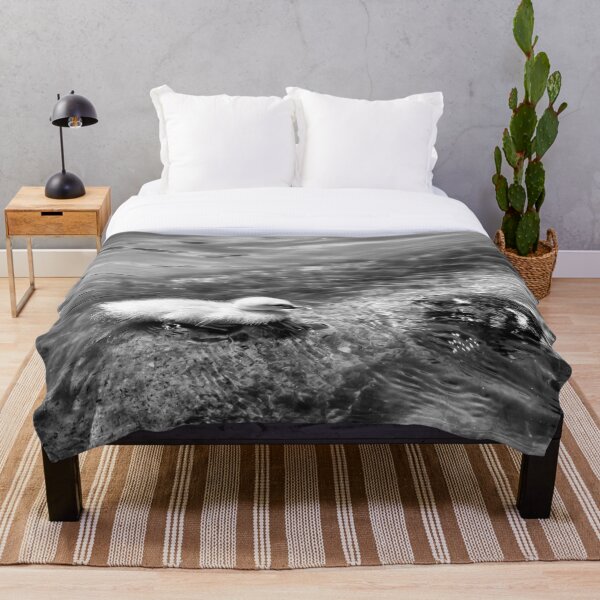 Item preview, Follow Me - B&W designed and sold by NunoPires.