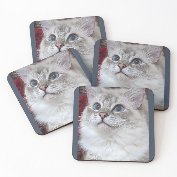 Item preview, Saoirse the ragdoll cat designed and sold by Fluffycat2020.