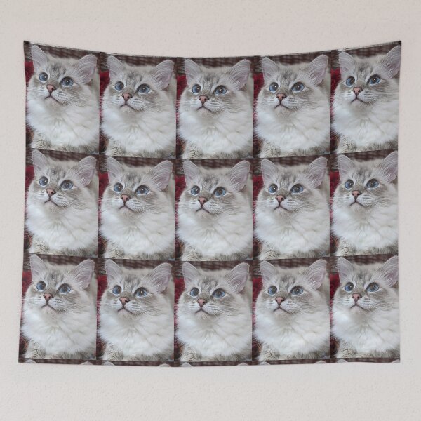 Item preview, Saoirse the ragdoll cat designed and sold by Fluffycat2020.