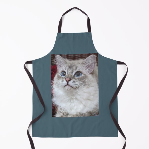 Item preview, Saoirse the ragdoll cat designed and sold by Fluffycat2020.