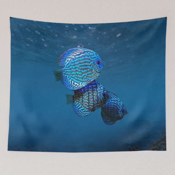 Item preview, DISCUS FISH, TURQUOISE designed and sold by Danicus666.