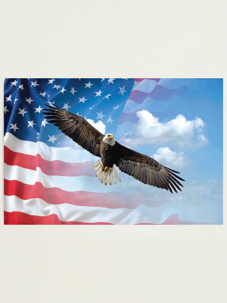 Soaring Bald Eagle American Flag Freedom Decal is 12 in size