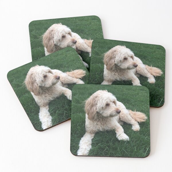 Item preview, Furry goldendoodle dog in grass designed and sold by JV.