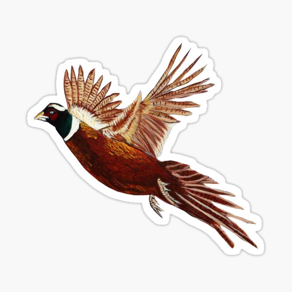 Pheasant Fleece Blankets for Sale - Pixels Merch