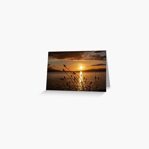 Sunset through grass Greeting Card