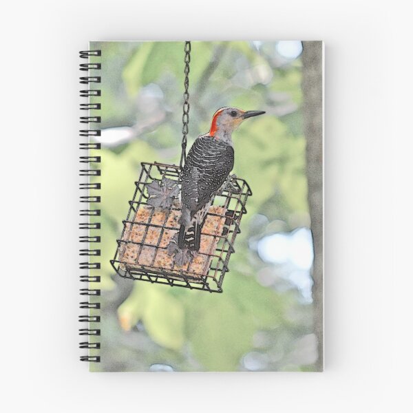 Item preview, Red-bellied Woodpecker designed and sold by Susan Watson.
