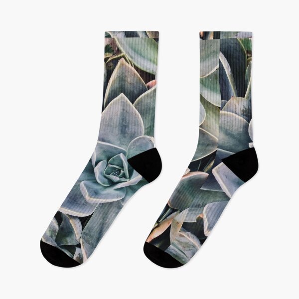 Item preview, Agave Garden designed and sold by JellyBeenzz.