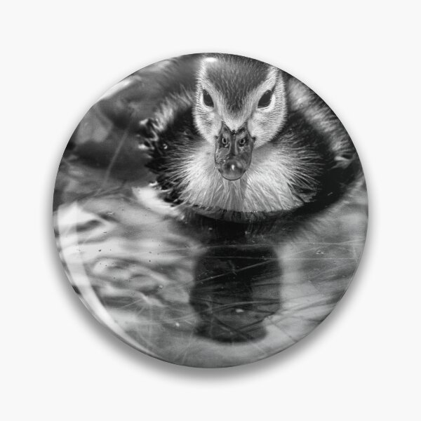 Item preview, Little Duckie - B&W designed and sold by NunoPires.