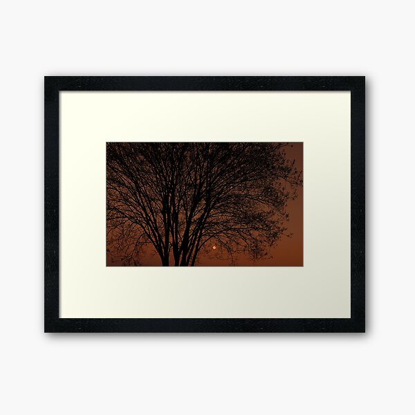 Item preview, Myrtle Dusk designed and sold by Rick McEntee.
