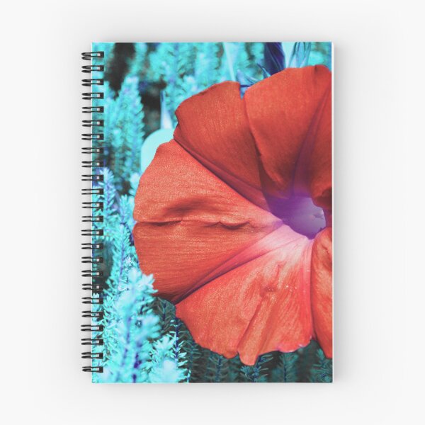 Item preview, Color edited Morning Glory designed and sold by Gaspar Avila.