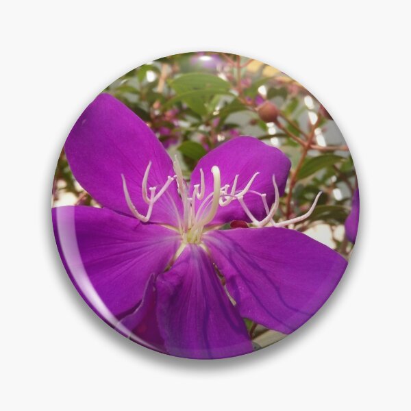 Artikelvorschau, Violette Blume entworfen und verkauft von Nichan-70.