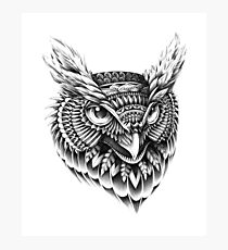 Ornate Owl Head Photographic Print