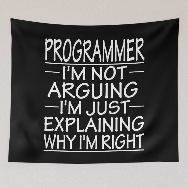 Item preview, programmer i'm not arguing i'm just explaining why i'm right: funny programmer present designed and sold by alaechamlal.