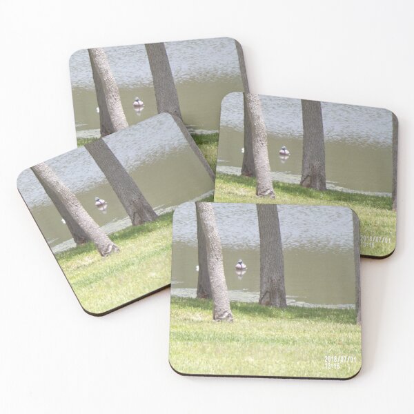 Item preview, Ducks, Real or Myth? designed and sold by MelodyHoward.