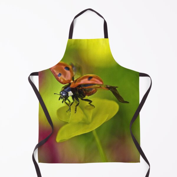 Item preview, Common ladybird designed and sold by missmoneypenny.