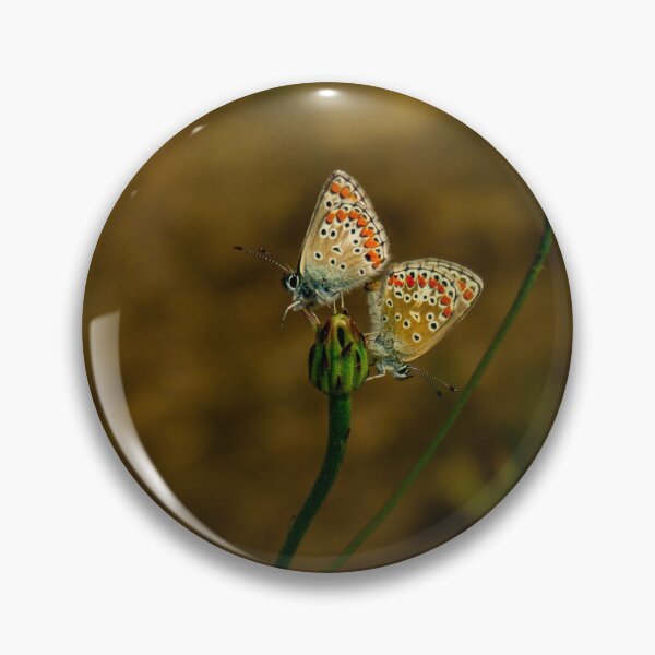 Item preview, Butterflies in action designed and sold by athanb.