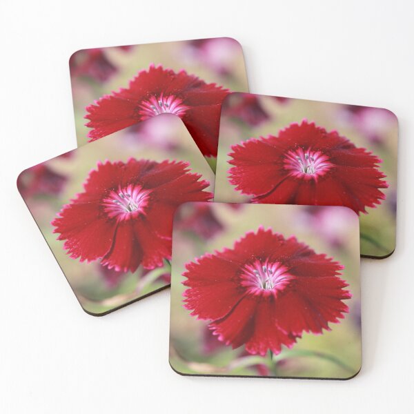 Item preview, Red Dianthus designed and sold by StampCity.