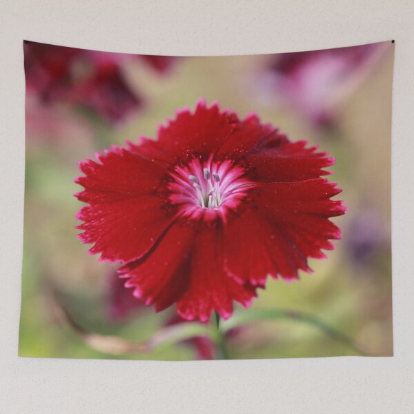 Item preview, Red Dianthus designed and sold by StampCity.