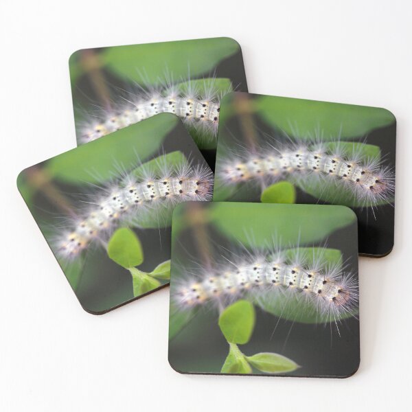 Item preview, Fall Webworm designed and sold by StampCity.