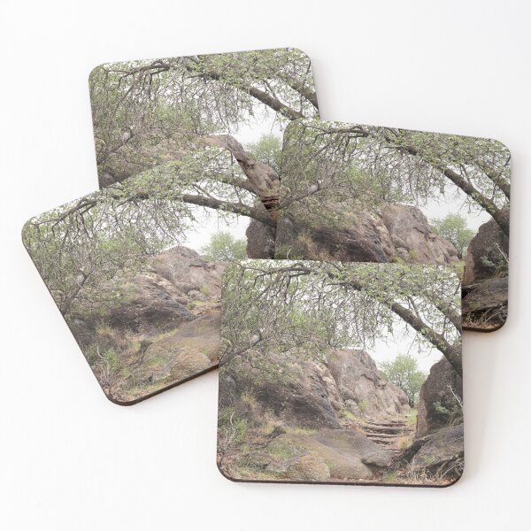 Item preview, Nature trail  designed and sold by zumi.