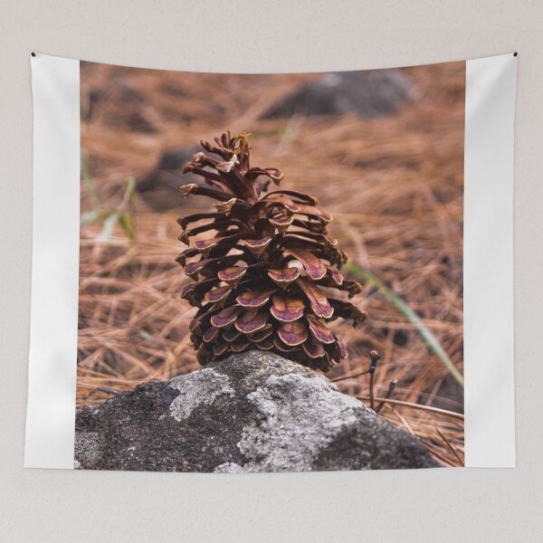 Item preview, Pine cone on the ground designed and sold by ShehaniJay.