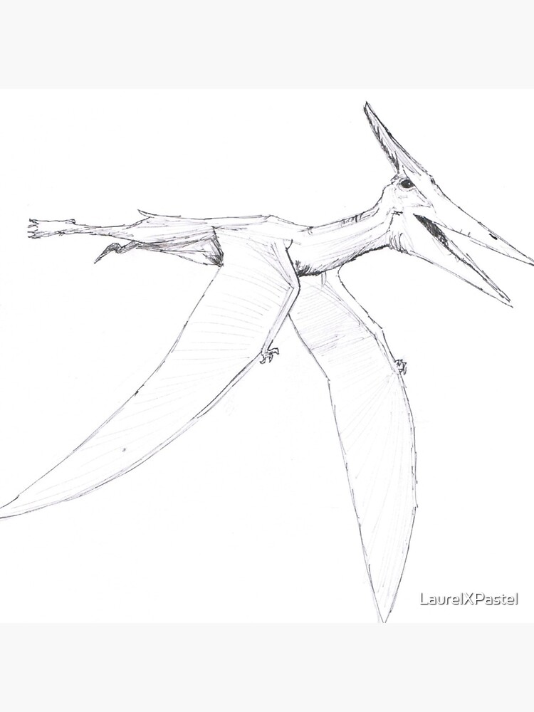 Artwork of the pterosaur, Pteranodon sp