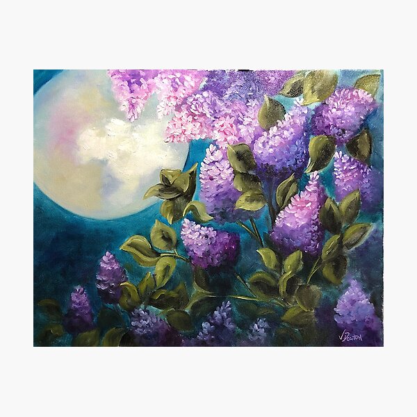 Moonlit Lilacs Photographic Print
