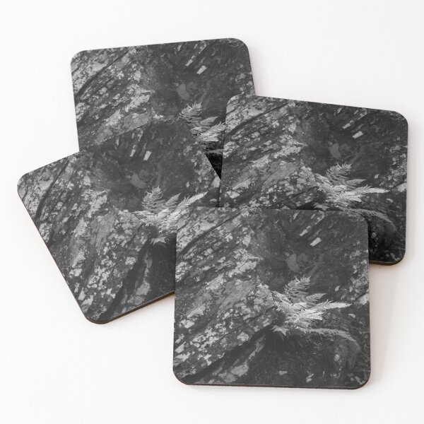 Item preview, Rocks and Ferns III designed and sold by Daniel Holtmeyer.