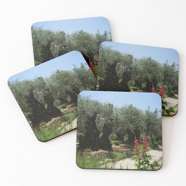 Item preview, The garden of Gethsemane olive trees designed and sold by nikawanders.