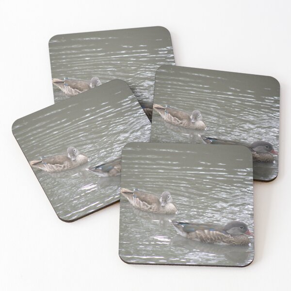 Item preview, Mandarin Ducks Female and Eclipse Male Photograph designed and sold by naturegallery.