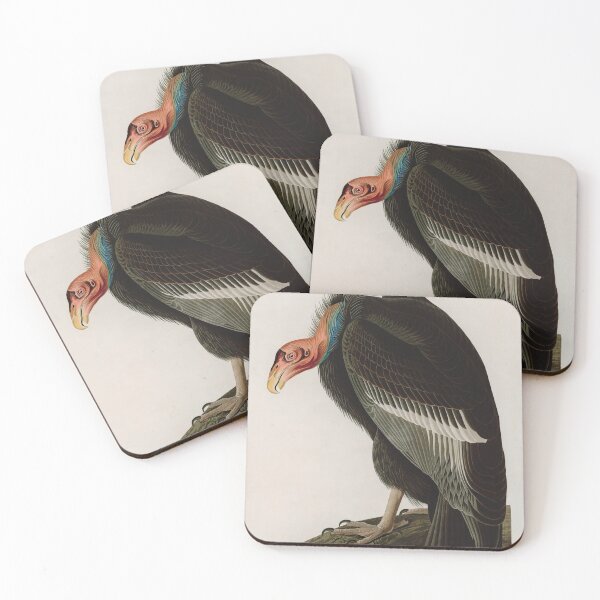Item preview, Birds of America Audubon Californian Vulture Illustration Bird Lovers Gift designed and sold by VintageArchive.