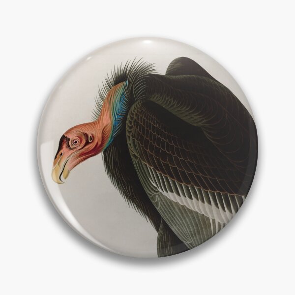 Item preview, Birds of America Audubon Californian Vulture Illustration Bird Lovers Gift designed and sold by VintageArchive.