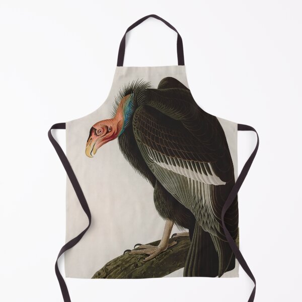 Item preview, Birds of America Audubon Californian Vulture Illustration Bird Lovers Gift designed and sold by VintageArchive.