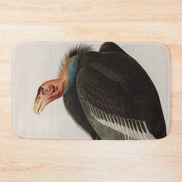 Item preview, Birds of America Audubon Californian Vulture Illustration Bird Lovers Gift designed and sold by VintageArchive.