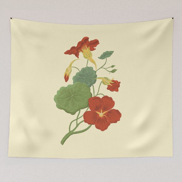 Item preview, Nasturtium botanical drawing designed and sold by Luaillustration.