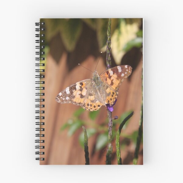 Item preview, Painted Lady butterfly designed and sold by richeriley.