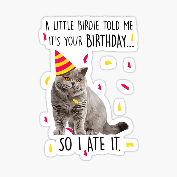 Geburtstag Katze Lustig Gif