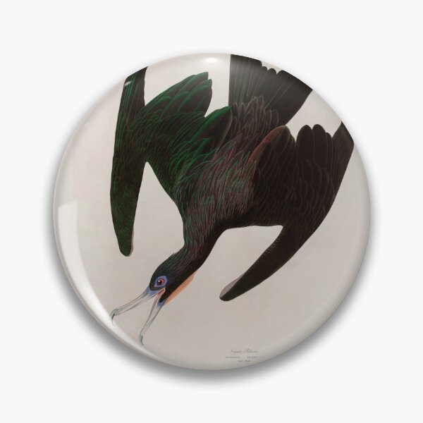 Item preview, Birds of America Audubon Frigate Pelican Illustration Bird Lovers Gift designed and sold by VintageArchive.