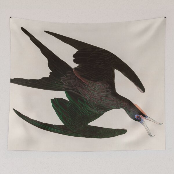 Item preview, Birds of America Audubon Frigate Pelican Illustration Bird Lovers Gift designed and sold by VintageArchive.