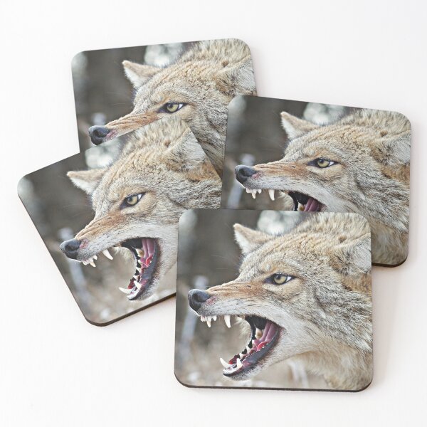 Item preview, Angry Coyote designed and sold by Kayleigh Wilson.