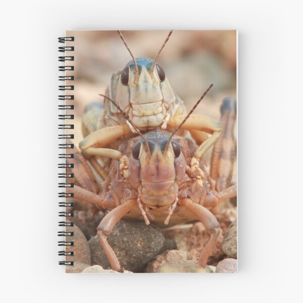 Item preview, Face-to-Face Encounter designed and sold by WorldDesign.