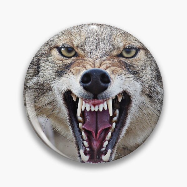 Item preview, Snarling Coyote designed and sold by Kayleigh Wilson.