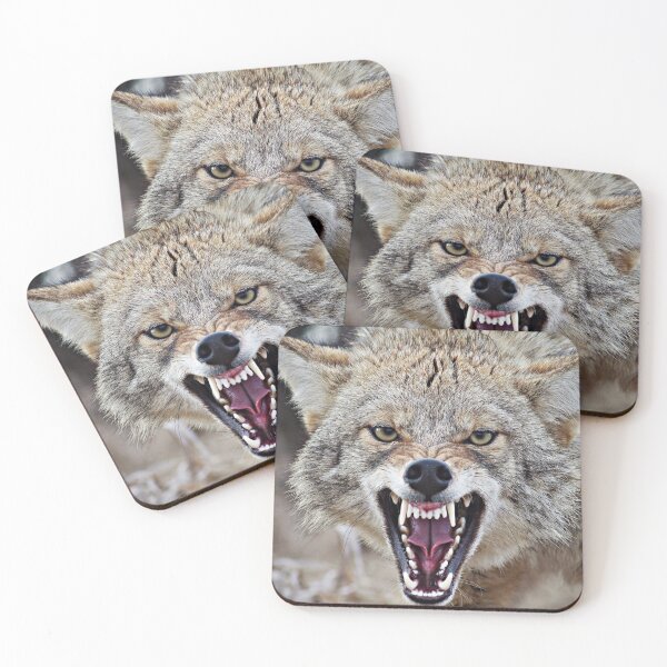Item preview, Snarling Coyote designed and sold by Kayleigh Wilson.